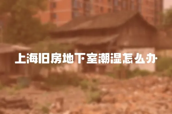 上海舊房地下室潮濕怎么辦