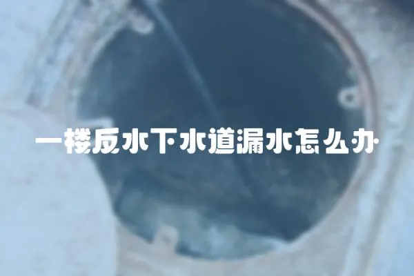 一樓反水下水道漏水怎么辦