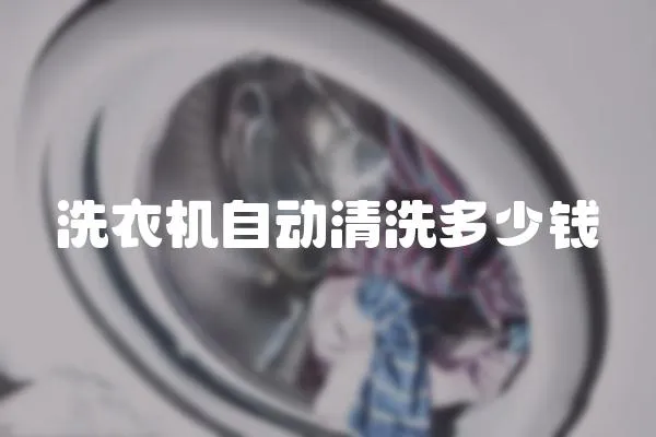 洗衣機自動清洗多少錢