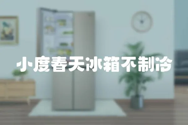 小度春天冰箱不制冷