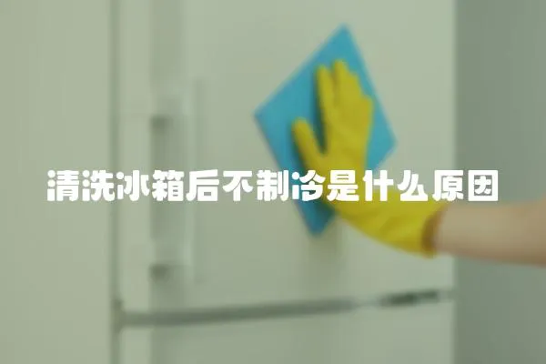清洗冰箱后不制冷是什么原因