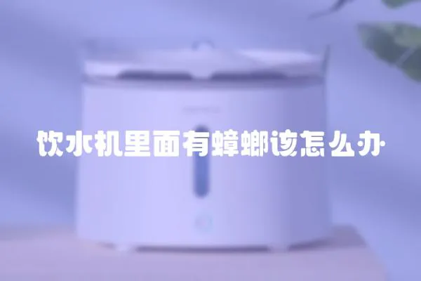 飲水機里面有蟑螂該怎么辦