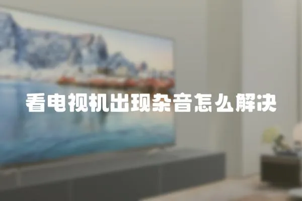 看電視機出現雜音怎么解決