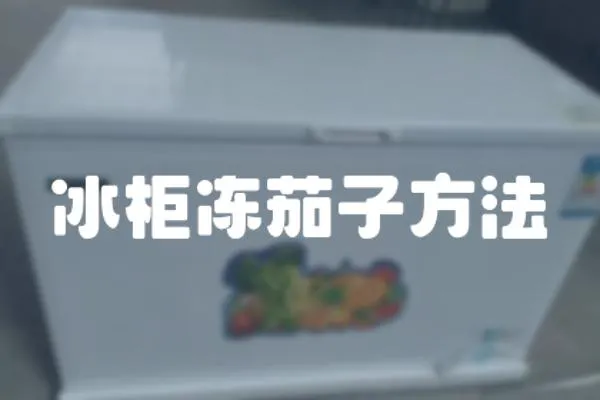 冰柜凍茄子方法