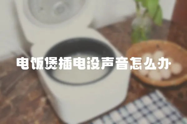 電飯煲插電沒聲音怎么辦