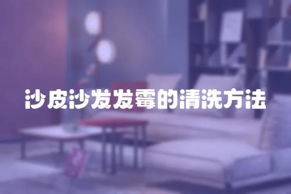 沙皮沙發(fā)發(fā)霉的清洗方法