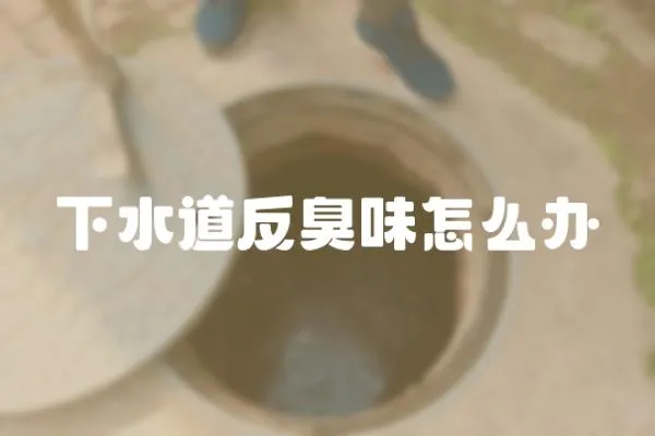 下水道反臭味怎么辦