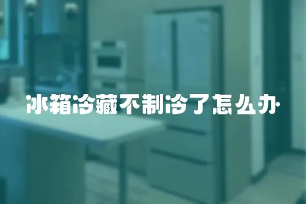 冰箱冷藏不制冷了怎么辦