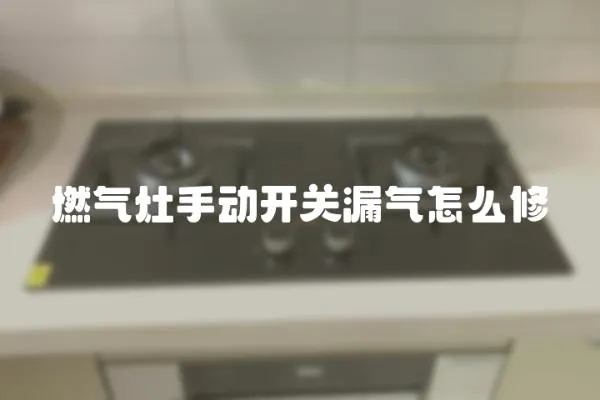燃氣灶手動開關漏氣怎么修