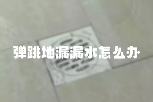 彈跳地漏漏水怎么辦
