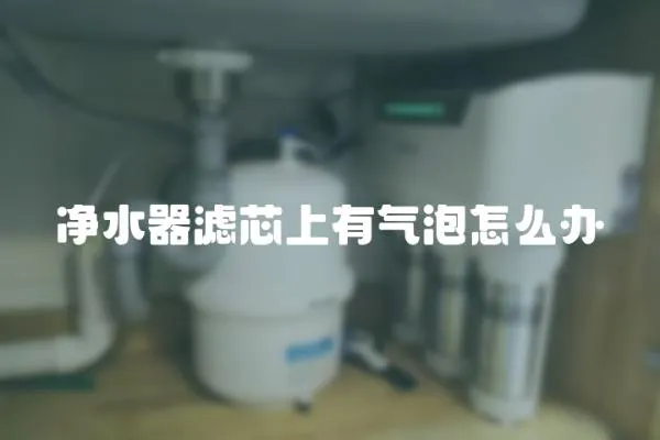 凈水器濾芯上有氣泡怎么辦