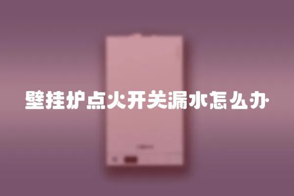 壁掛爐點火開關(guān)漏水怎么辦