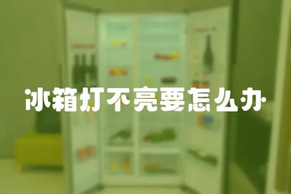 冰箱燈不亮要怎么辦