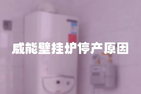 威能壁掛爐停產(chǎn)原因