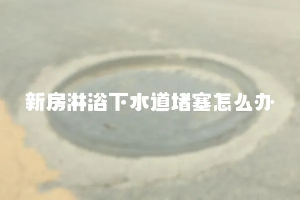 新房淋浴下水道堵塞怎么辦
