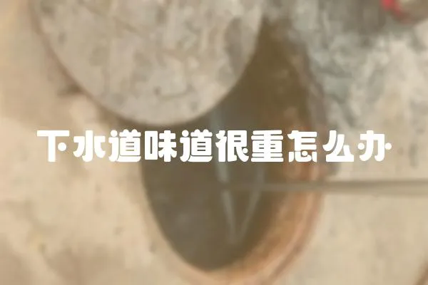 下水道味道很重怎么办