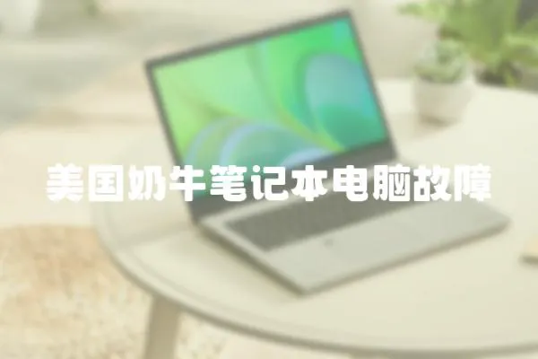 美國奶牛筆記本電腦故障