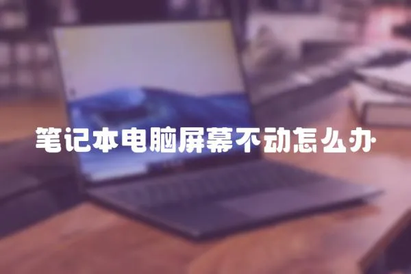 筆記本電腦屏幕不動(dòng)怎么辦