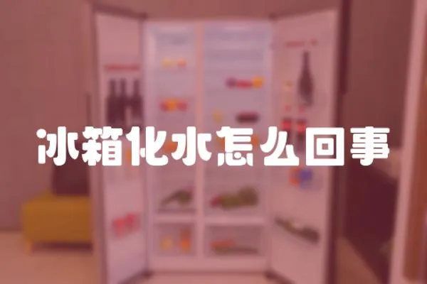 冰箱化水怎么回事