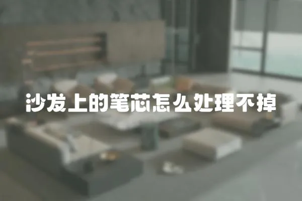 沙發上的筆芯怎么處理不掉