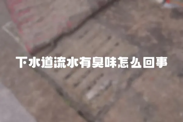 下水道流水有臭味怎么回事