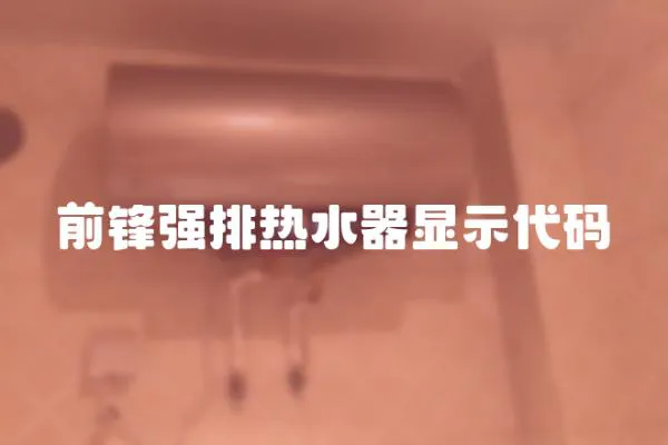 前鋒強(qiáng)排熱水器顯示代碼