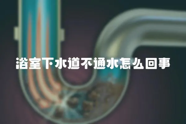 浴室下水道不通水怎么回事