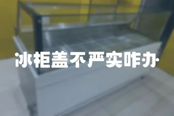 冰柜蓋不嚴實咋辦