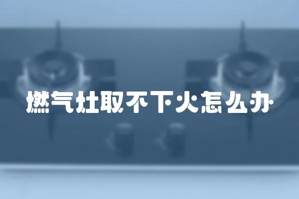 燃?xì)庠钊〔幌禄鹪趺崔k