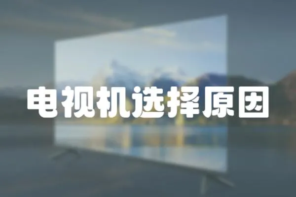 電視機選擇原因