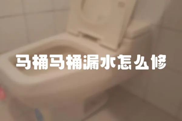 馬桶馬桶漏水怎么修