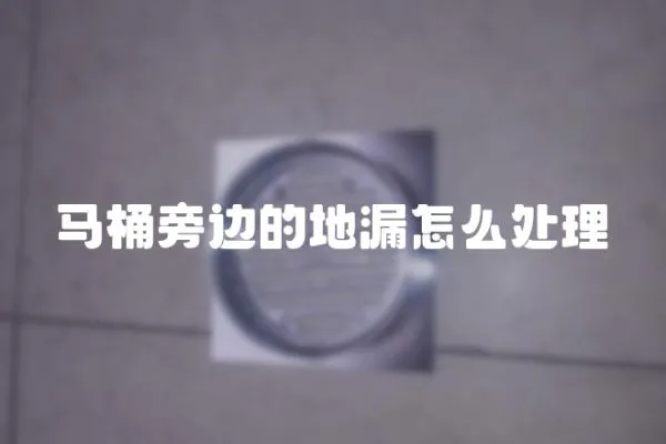 馬桶旁邊的地漏怎么處理