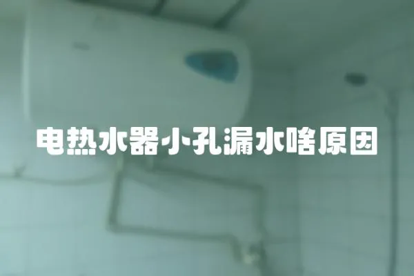 電熱水器小孔漏水啥原因