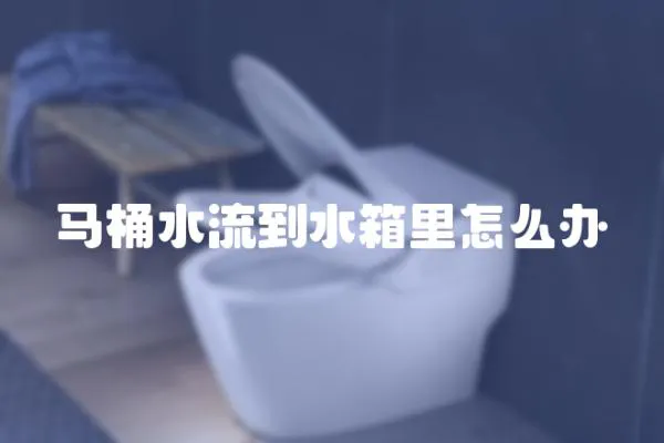 馬桶水流到水箱里怎么辦