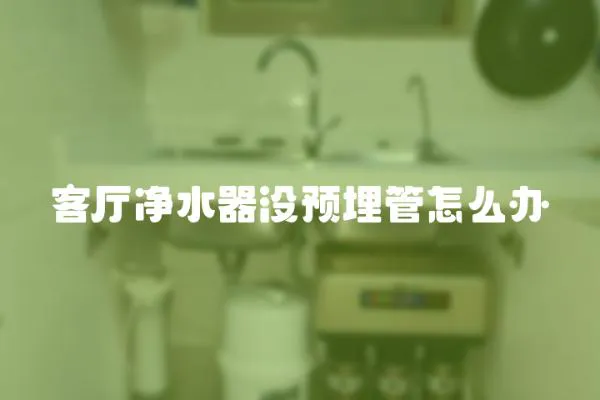 客廳凈水器沒預(yù)埋管怎么辦
