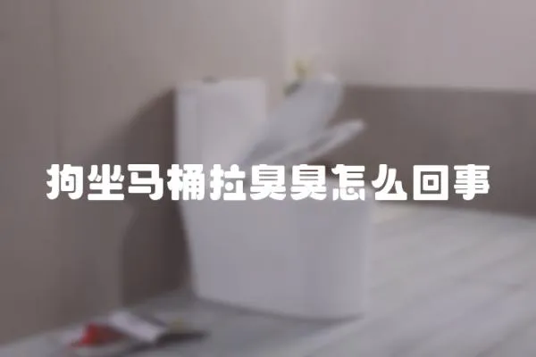 狗坐馬桶拉臭臭怎么回事