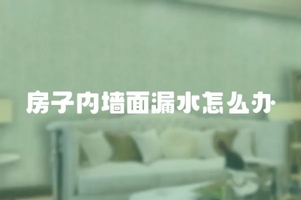 房子內墻面漏水怎么辦