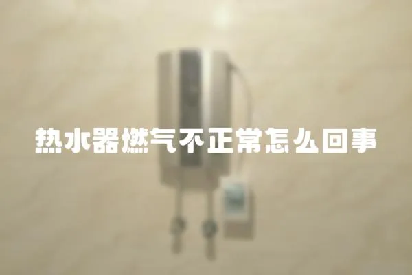 熱水器燃?xì)獠徽T趺椿厥? loading=