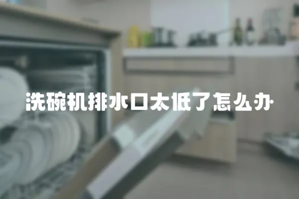 洗碗機排水口太低了怎么辦