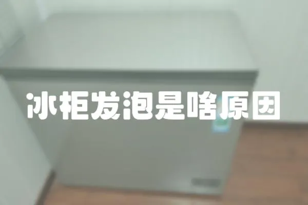 冰柜發泡是啥原因
