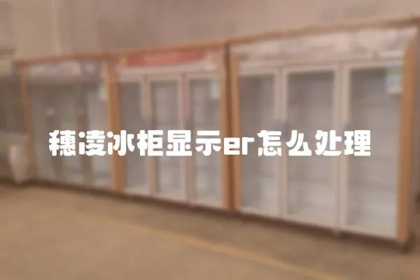 穗凌冰柜顯示er怎么處理