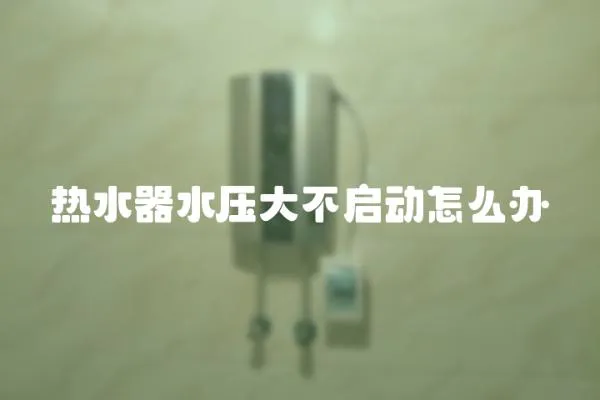 熱水器水壓大不啟動怎么辦