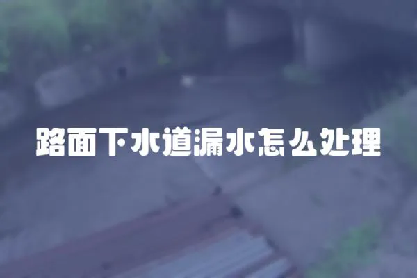 路面下水道漏水怎么處理