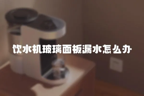 飲水機玻璃面板漏水怎么辦