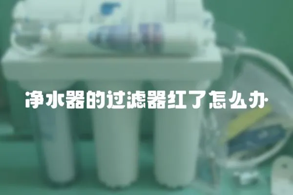 凈水器的過濾器紅了怎么辦