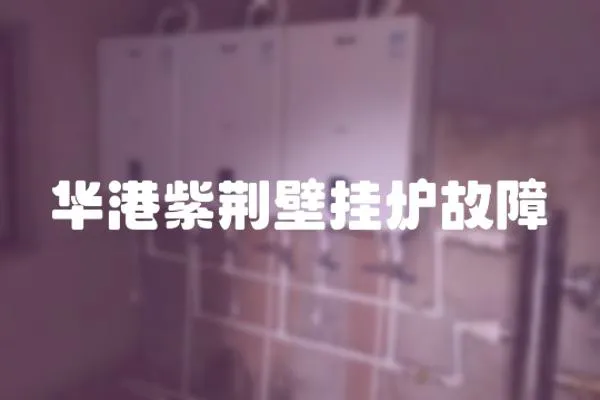 華港紫荊壁掛爐故障