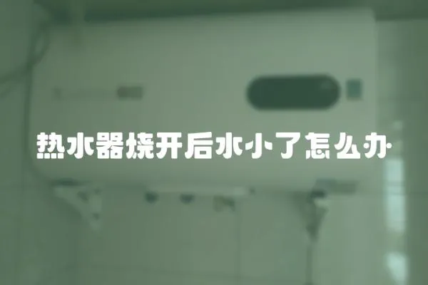 熱水器燒開后水小了怎么辦