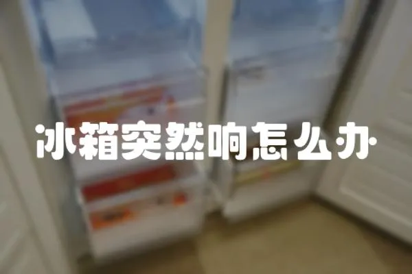 冰箱突然响怎么办