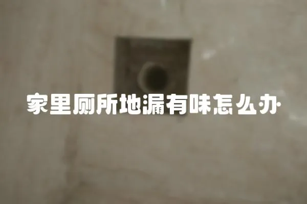 家里廁所地漏有味怎么辦
