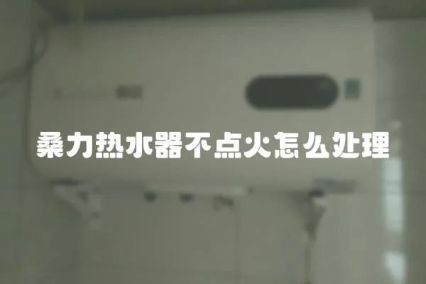 桑力熱水器不點火怎么處理